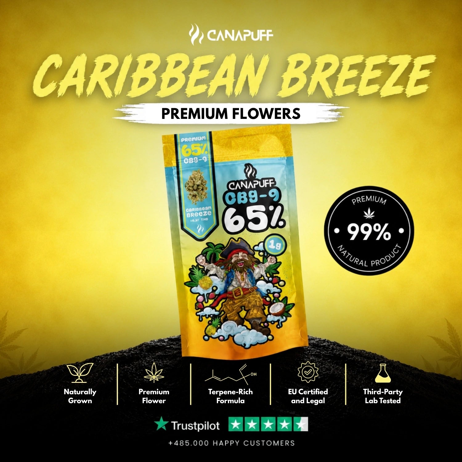 CBG9 flori Caribbean Breeze 65%