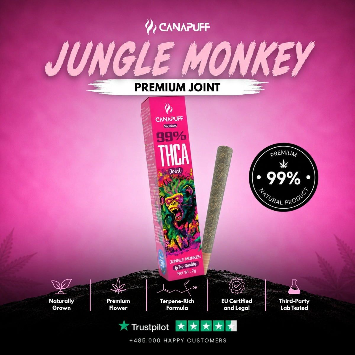 THCA Joint Jungle Monkey 99% 2g