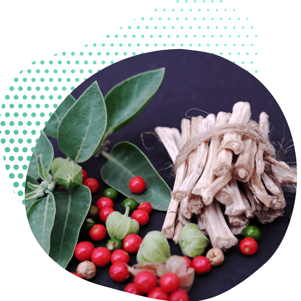 La scienza dietro l'Ashwagandha