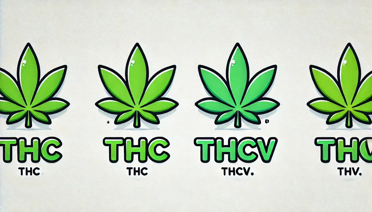 „THC vs THCv” scris cu frunze de Cannabis în stil comic.