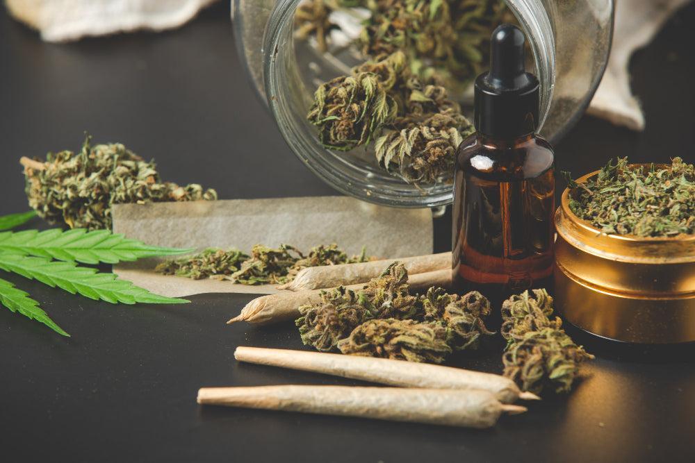 Grodda gamla Cannabis-frön: Viktiga tips för framgång-Canapuff