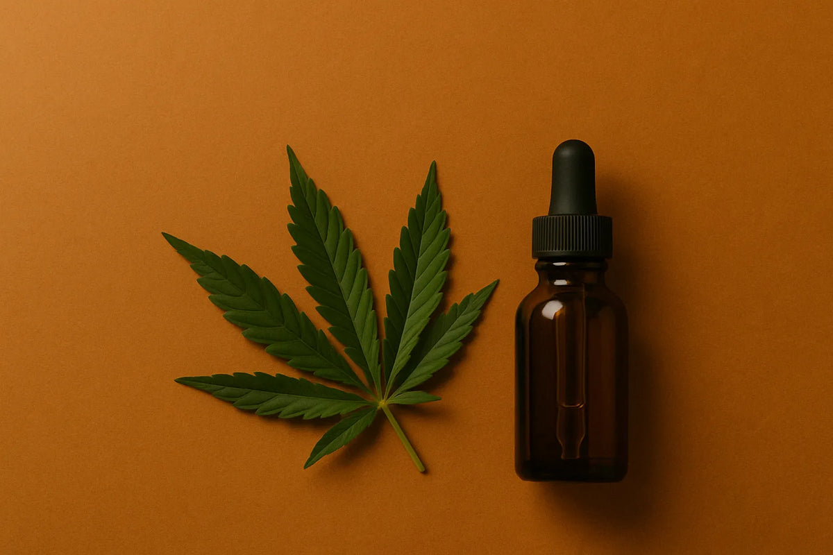 Cannabisblad och bärnstensfärgad droppflaska på varm orange bakgrund