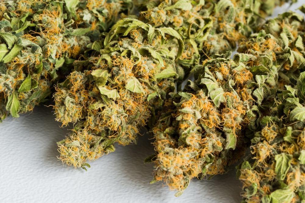 10-OH-HHC: Vorteile und Sicherheit des neuen Cannabinoids-Canapuff