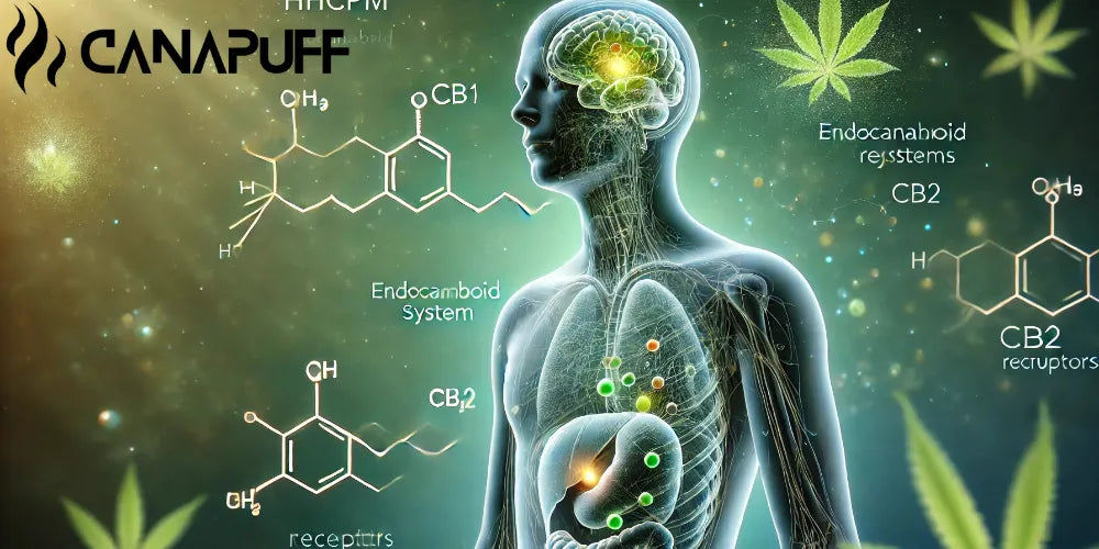 HHCpM: Qué es, efectos y situación legal en el mundo-Canapuff
