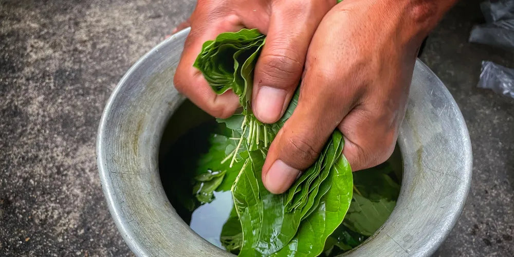 cât kratom să iei