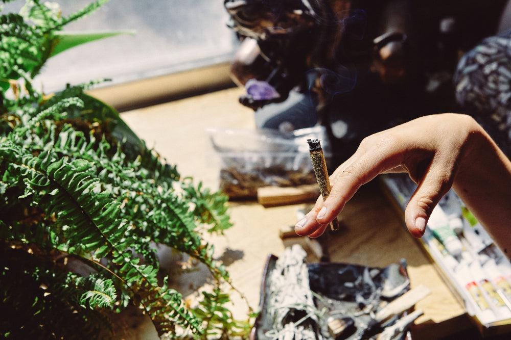 THCA: Non-Psychoactive Cannabinoid with Health Benefits-Canapuff