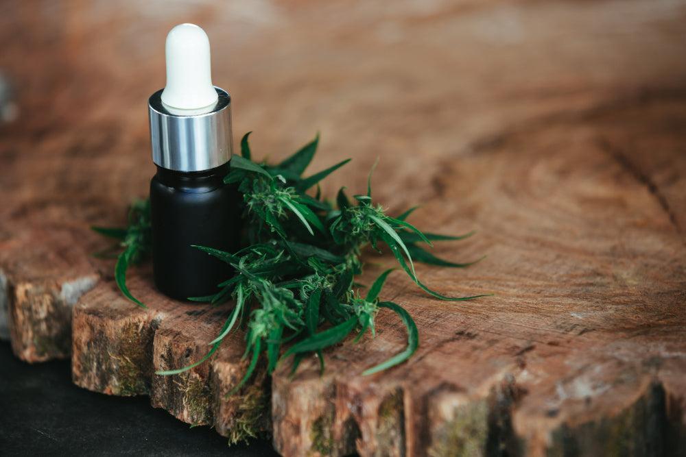 THCA: Faydaları, Kullanımı ve En İyi Cannabis Strains-Canapuff