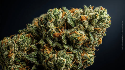 Ghost Train Haze Strain vodič — Učinci, terpeni i podrijetlo