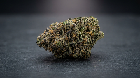 Gorilla Zkittlez Strain gidas: poveikis, terpenai ir genetika