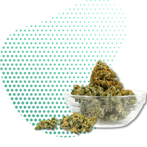 10-OH-HHC çiçek alternatifleri