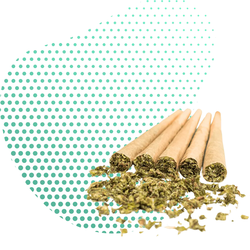 Jointuri THC-PO-Canapuff