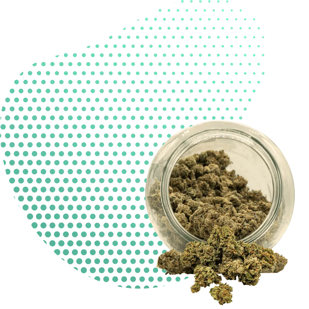 THC-PO-Canapuff