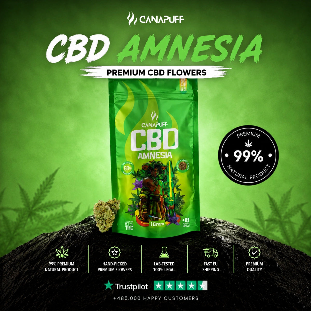 CBD Flowers Amnesia 69%