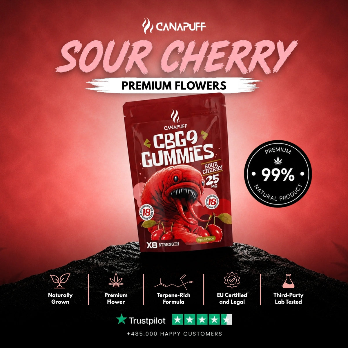 CBG9 Gummies Sour Cherry