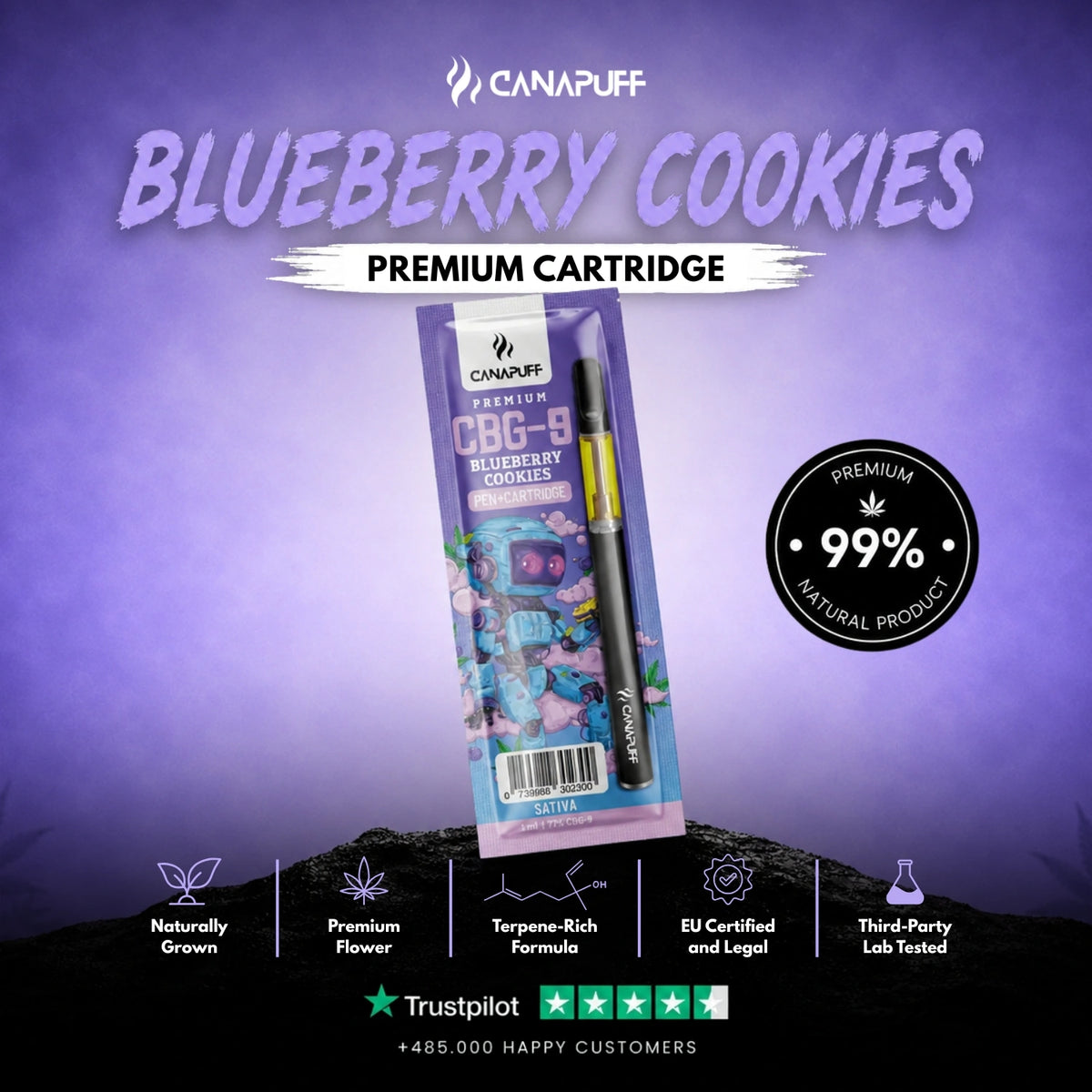 CBG9 Pen+Cartridge Blueberry Cookies 79%