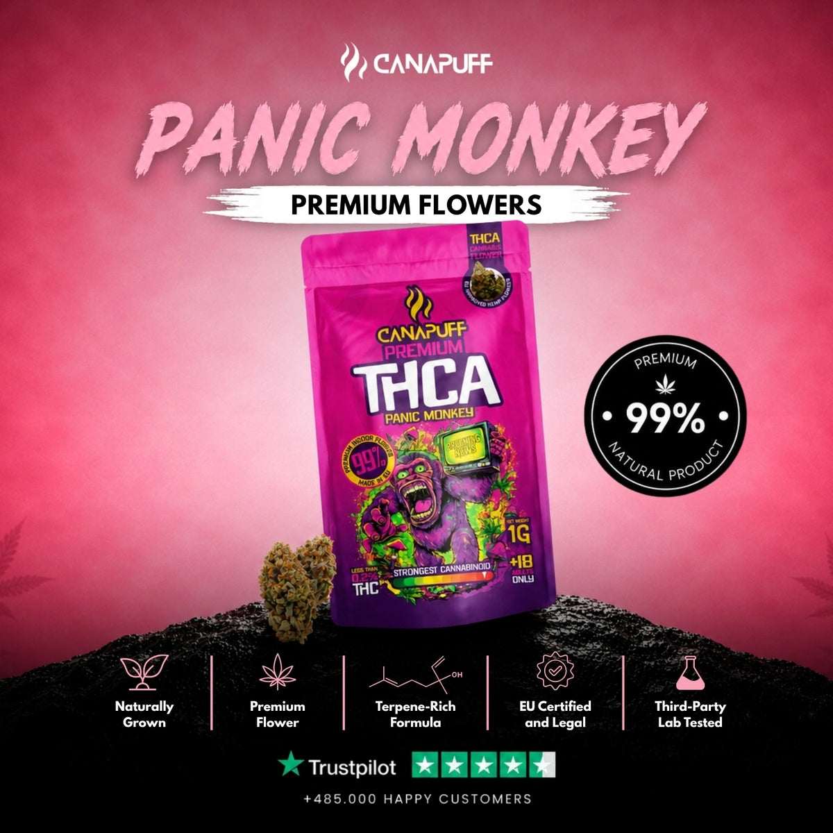 THCA Flowers Panic Monkey 99%