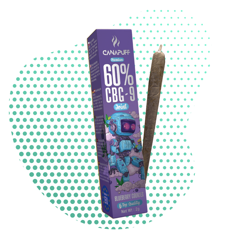 CBG9 Joint 60% Blueberry Cookies 2g