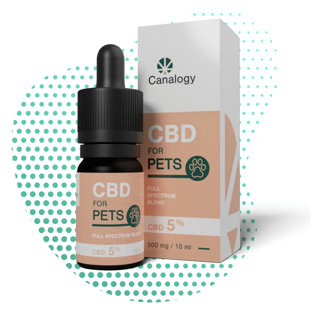 Óleo de CBD Canalogy 5% para animais